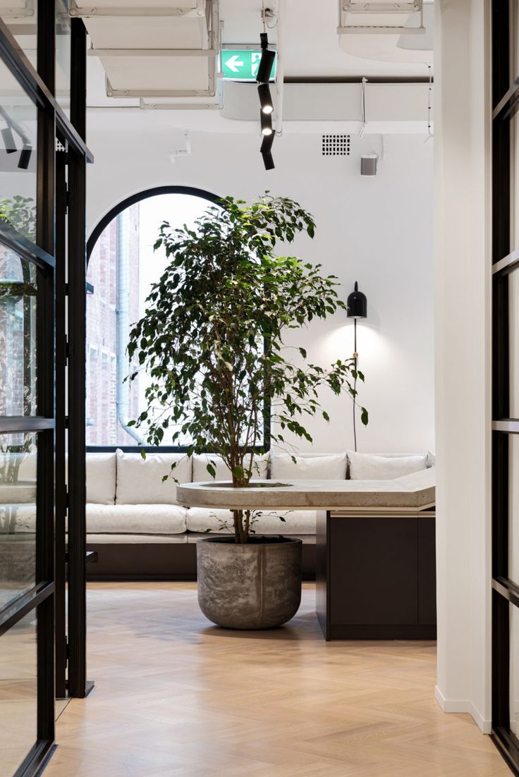 a living room with a couch, table and potted plant in the middle of it