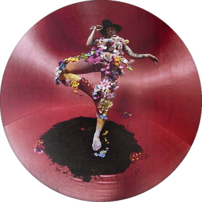 a woman is standing in the middle of a red circle with flowers all over her body