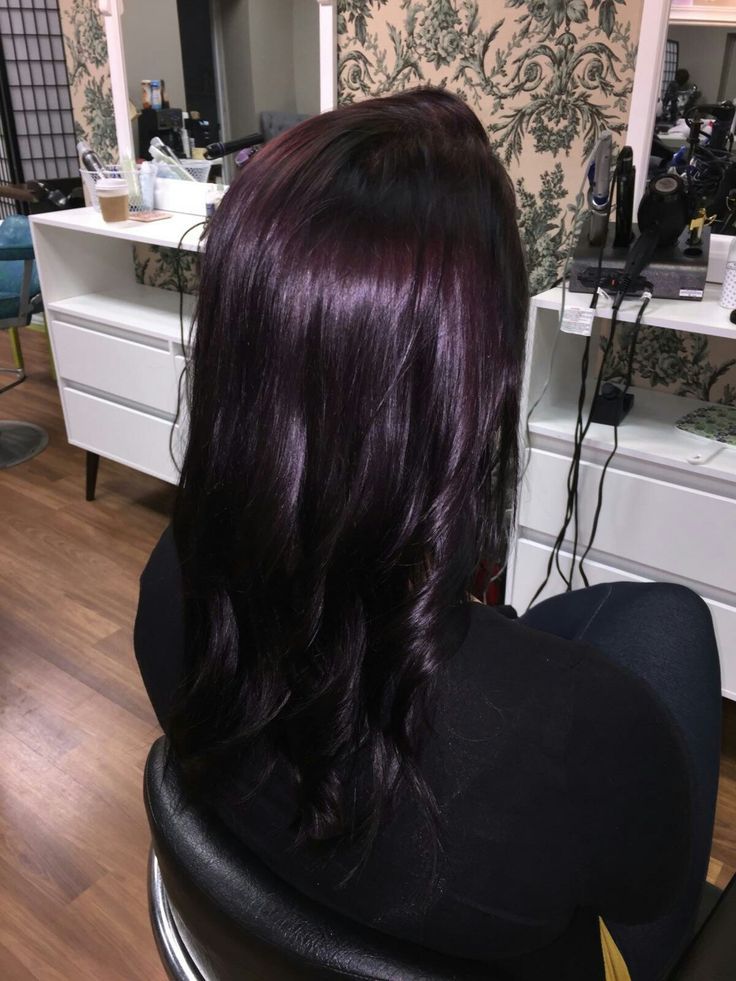 Purple Tinted Hair, Pelo Color Vino, Dark Purple Hair, Plum Hair, Aveda Hair, Wine Hair, Hair Tint, Violet Hair, Burgundy Hair