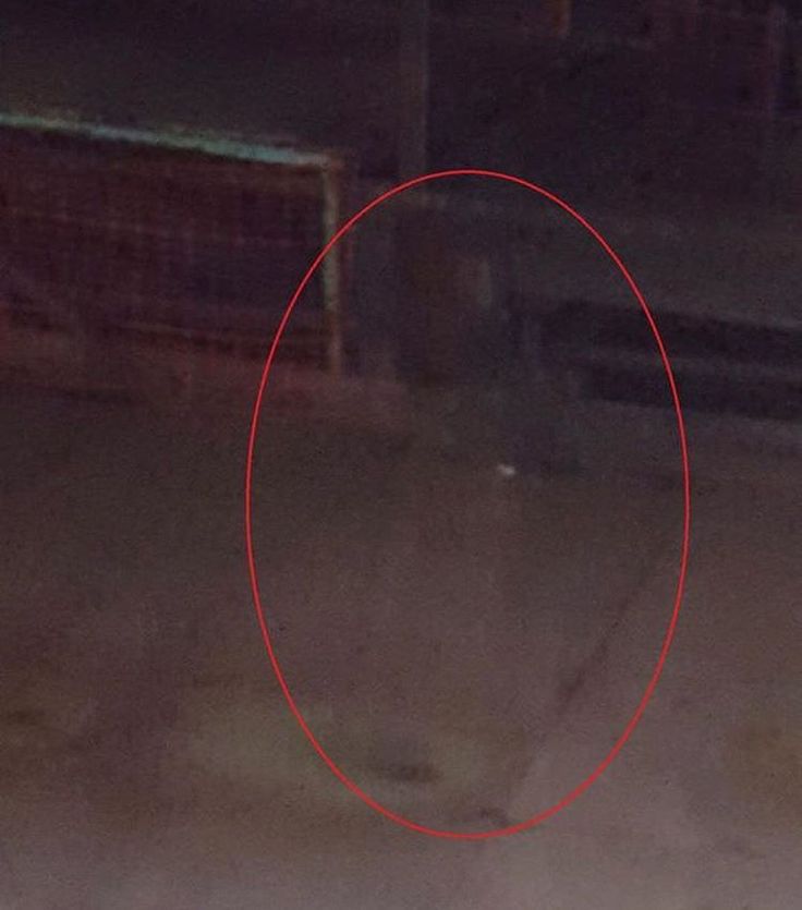 a red circle is in the middle of an empty parking lot at night with no one around it