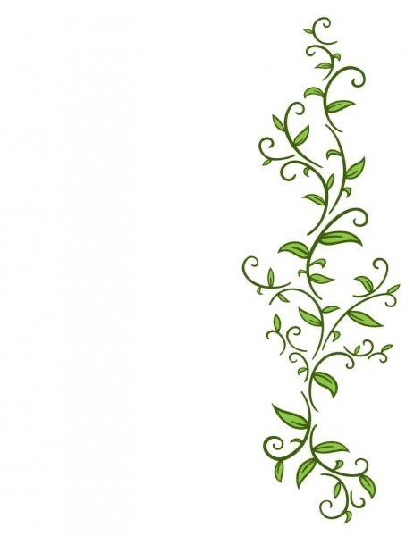 a green vine with leaves and swirls on white background vinyl wall decal