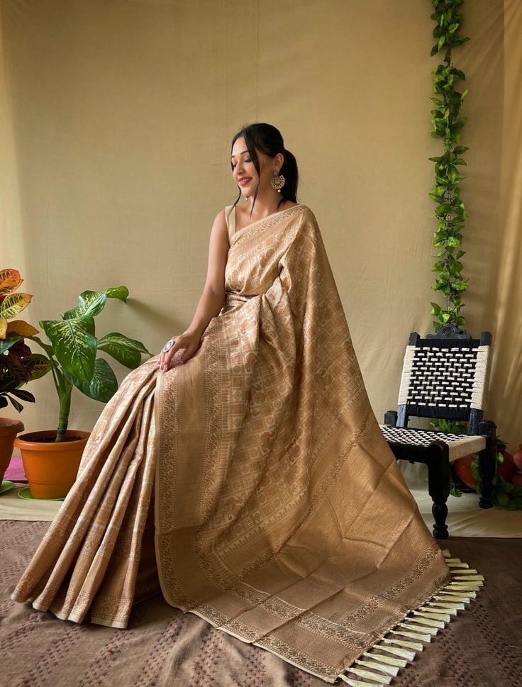 Copper Saree, Formal Saree, Western Dresses For Women, Wedding Lehenga Designs, Maxi Dress Designs, Saree Poses, Modern Saree, Traditional Indian Dress, Style Guru