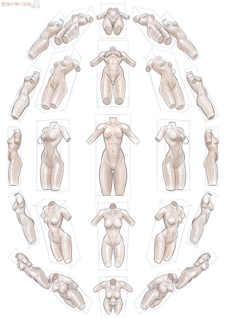 an image of female mannequins in various positions and sizes on a white background