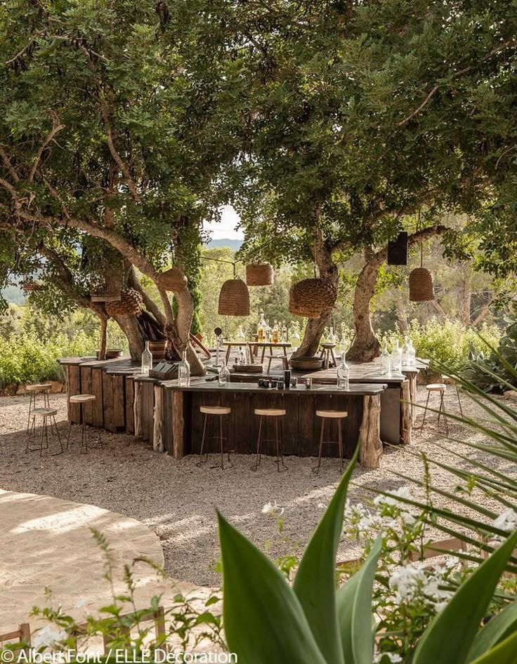 an outdoor dining table surrounded by trees and chairs