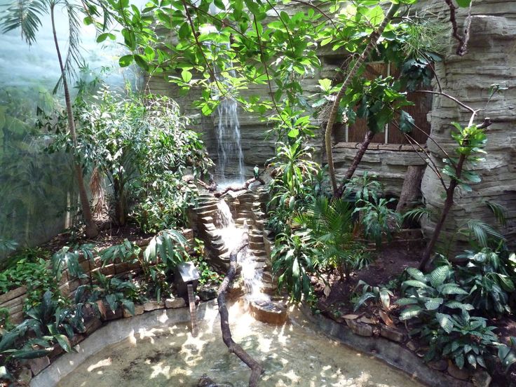 a small waterfall in the middle of a garden