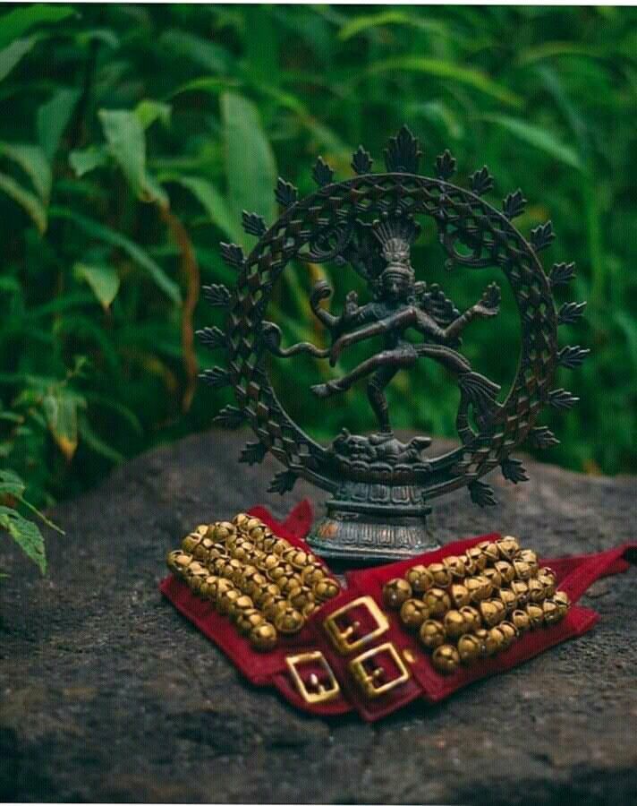 a metal object sitting on top of a rock in front of some green plants and bushes