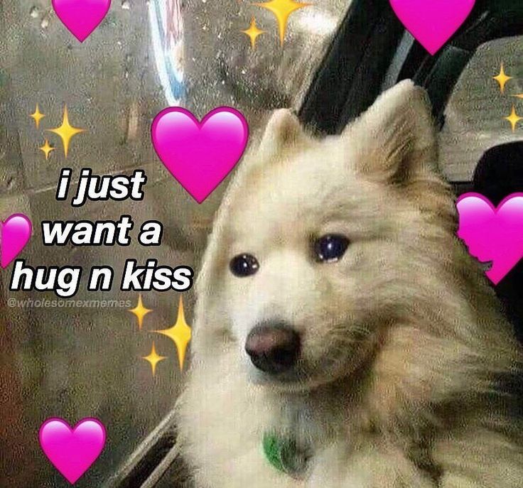 a white dog with blue eyes sitting on top of a window sill next to pink hearts