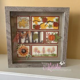 a shadow box that has some pictures in it with leaves and flowers on the inside