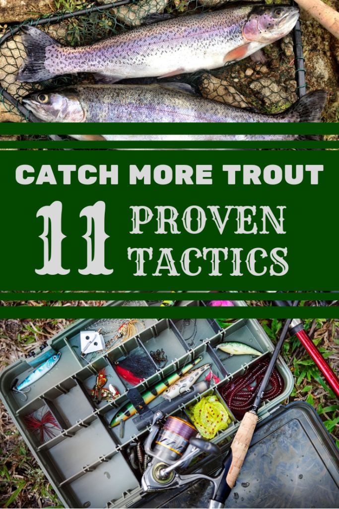 two pictures with fishing gear and the words trout fishing 101 on it's side