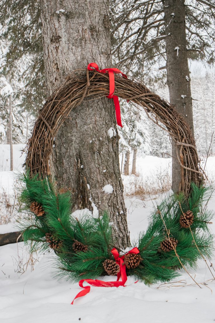 a wreath with pine cones and red ribbon tied around it next to a tree in the snow