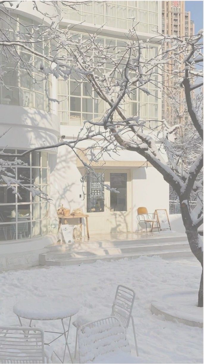 snow covered trees and chairs in front of a white building with large windows on the side