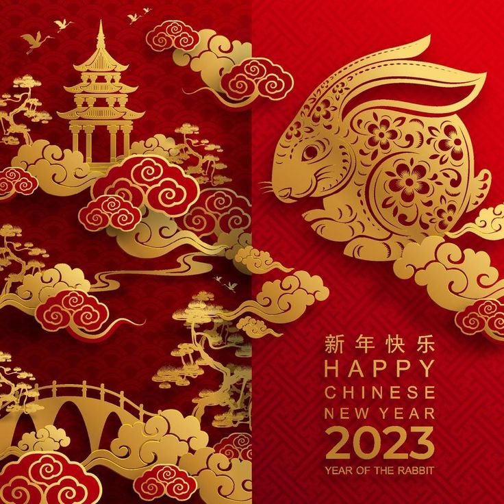 Chinese New Year Card Design 2023, Happy Chinese New Year 2023 Year Of The Rabbit, Happy Chinese New Year 2023 Design, Gong Xi Fa Cai 2023, Chinese New Year 2023 Rabbit, Imlek 2023, Chinese New Year Gif, Happy Chinese New Year 2023, Chines New Year