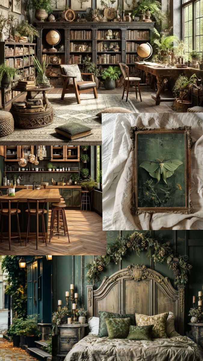 the interior of an old house with many plants and furniture in different stages of life