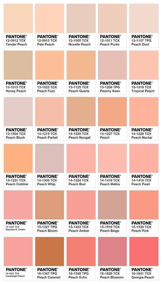 pantone's color chart with the names and colors in each section on it