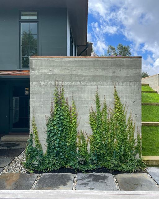 some plants are growing on the side of a concrete block wall in front of a house