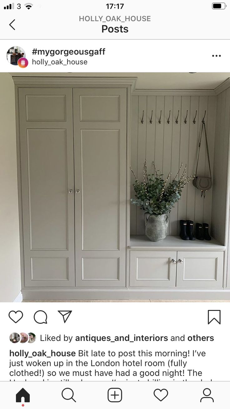 an image of a room with white cupboards and plants on the shelves in it