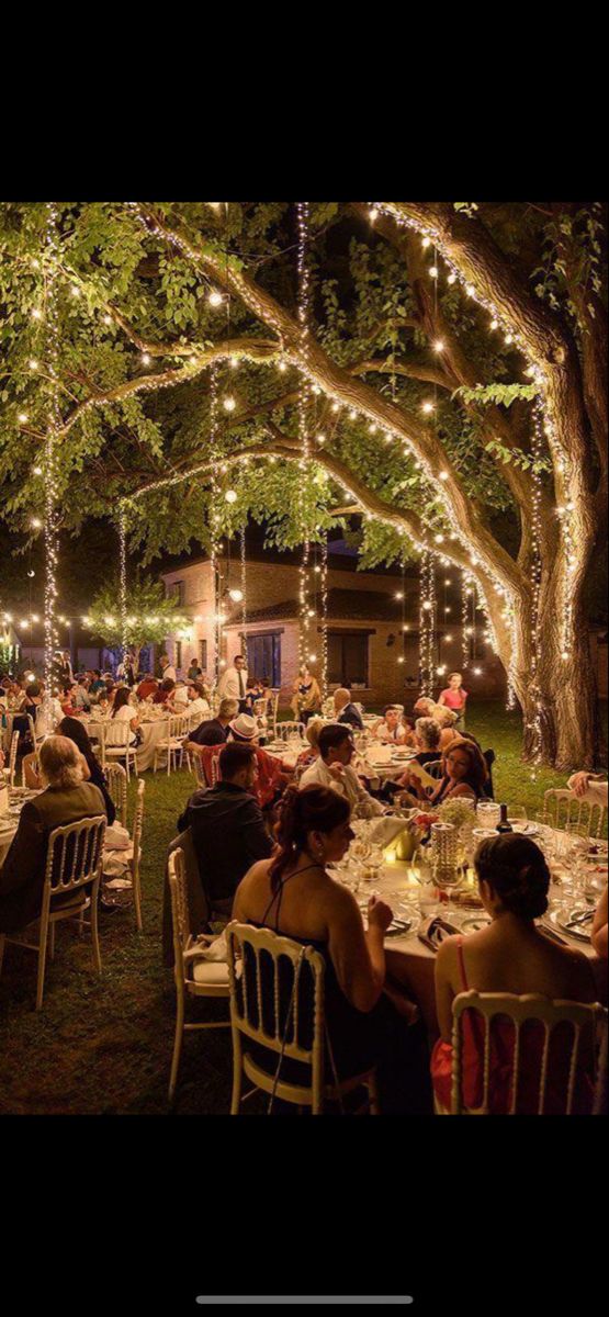 people are sitting at tables under trees with lights strung from the ceiling and on the ground