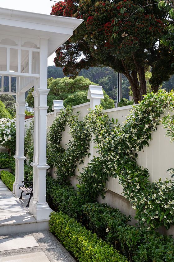 a white gazebo sitting next to a lush green forest