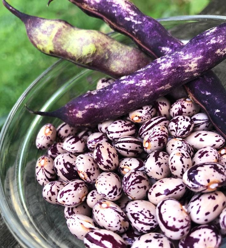 a glass bowl filled with purple and white speckled eggplant next to a green leafy plant