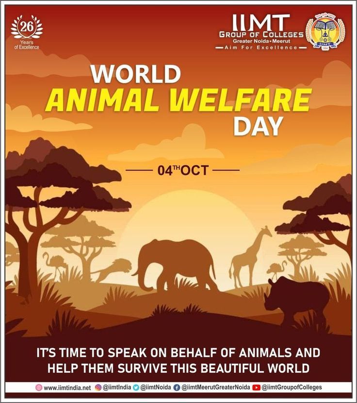 an advertisement for the world animal wildlife day