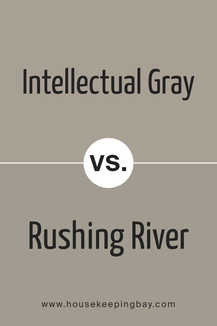 Intellectual Gray SW 7045 by Sherwin Williams vs Rushing River SW 7746 by Sherwin Williams Intellectual Gray Sherwin Williams, Sherwin Williams Intellectual Gray, Intellectual Gray, Sherwin Williams Gray, Trim Colors, Neutral Paint Colors, Muted Green, Neutral Paint, Warm Grey