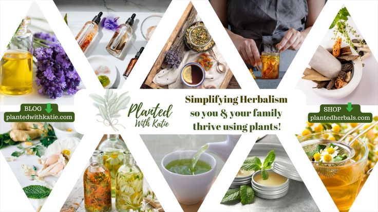 Planted With Katie | Herbal Remedies & DIY Recipes