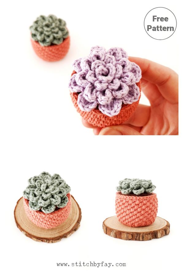 crocheted flower pot sitting on top of a piece of wood with text overlay that says free pattern