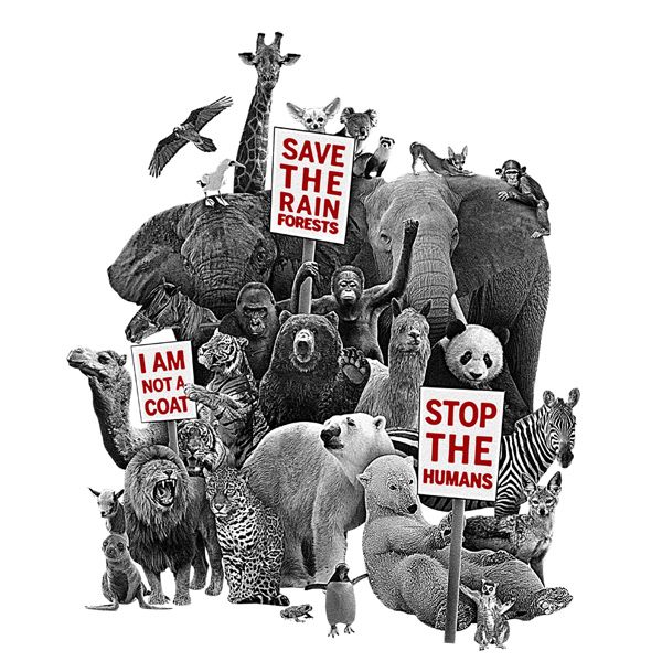 an image of animals holding signs that say save the rain forest and stop the humans