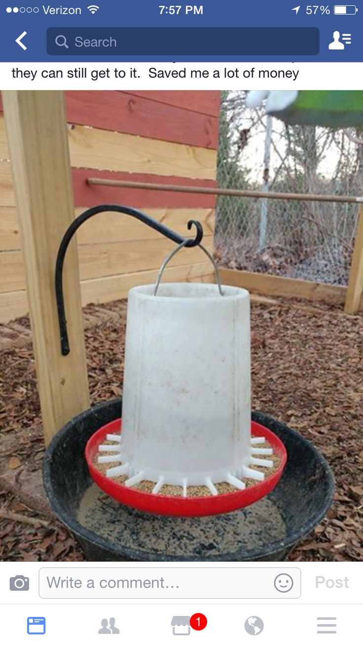 a bird feeder that is sitting in the dirt