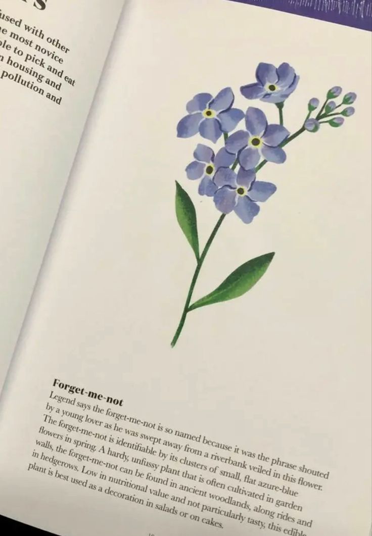 an open book with blue flowers on it