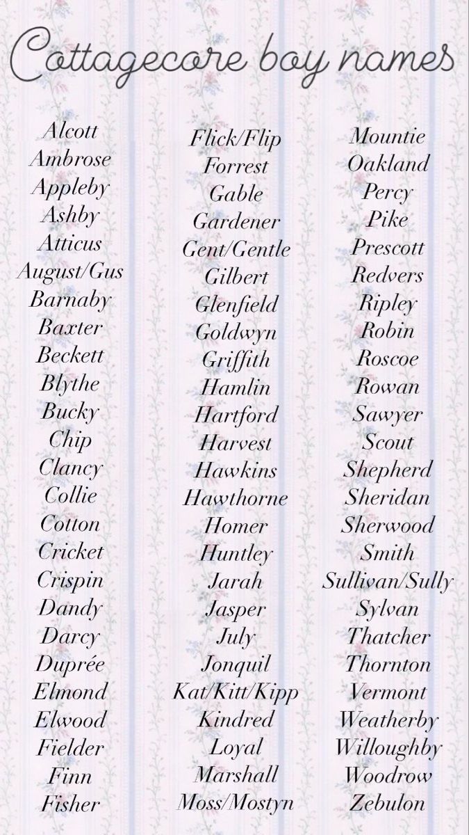 Cottagecore baby name list Animagus Name Ideas, Cottage Core Names List, Masc Names List, Name For Book Characters, Royal Character Names, Cottagecore Pet Names, Cottagecore Last Names, Old Money Names List, Male Nature Names