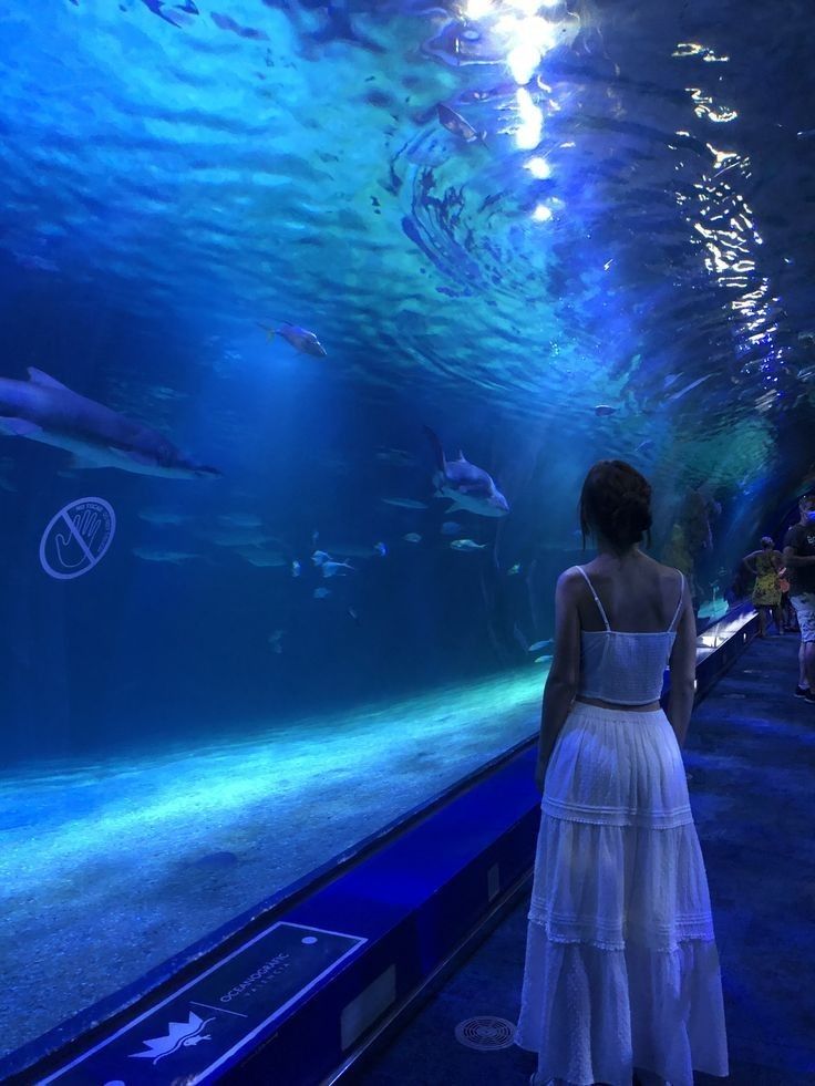 a woman standing in front of an aquarium looking at fish