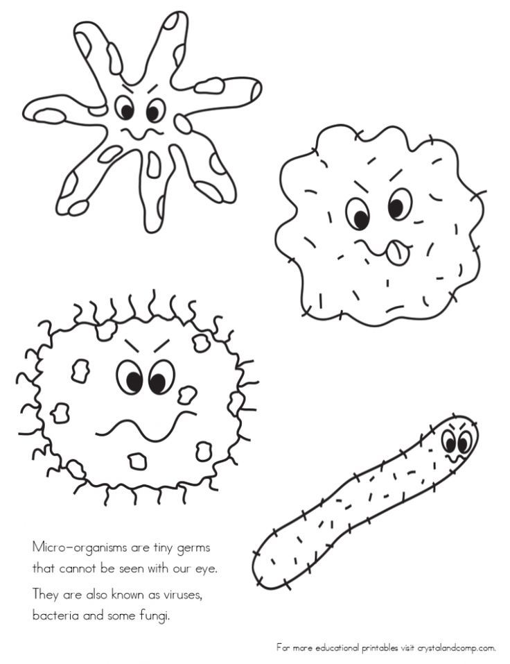 four different types of germs coloring pages