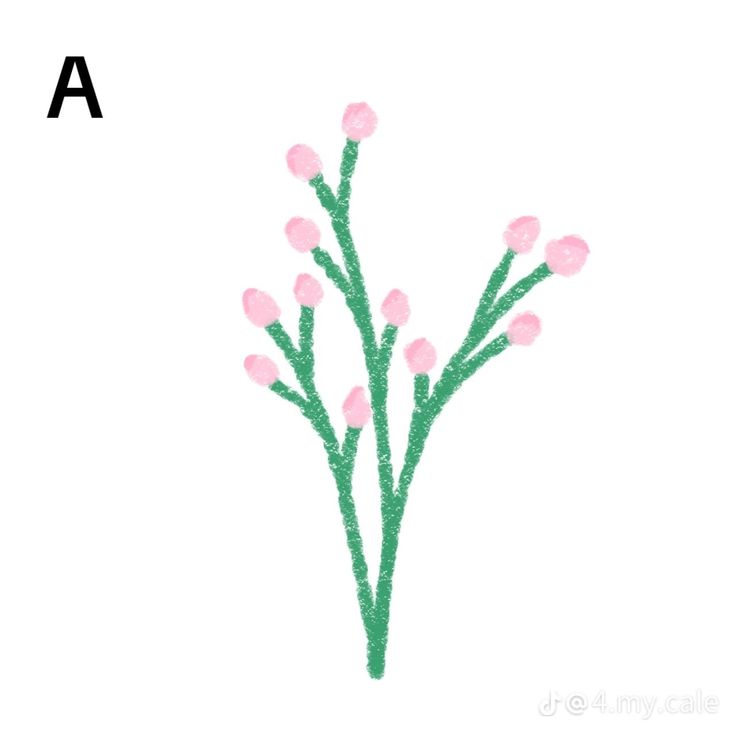 a drawing of some pink flowers on a white background with the letter a in it