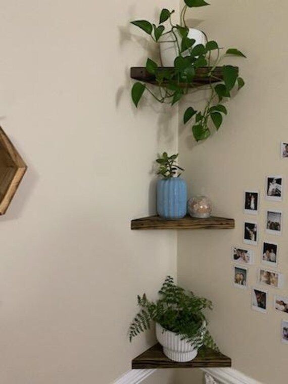 two shelves with plants and pictures on them in a corner next to a wall mounted mirror