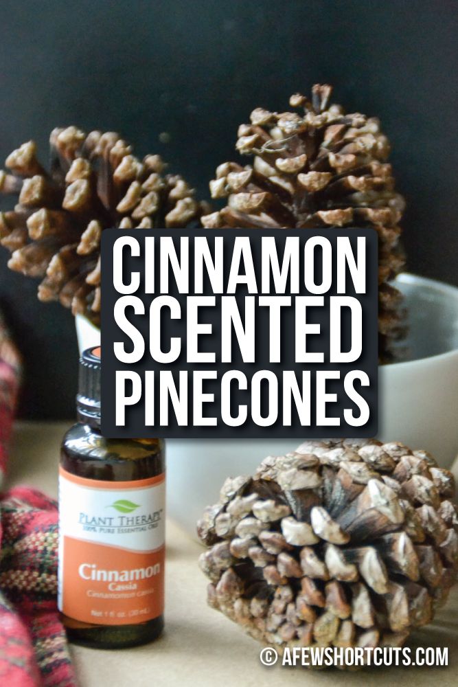 cinnamon scented pinecones are sitting on a table next to a bottle of essential oil