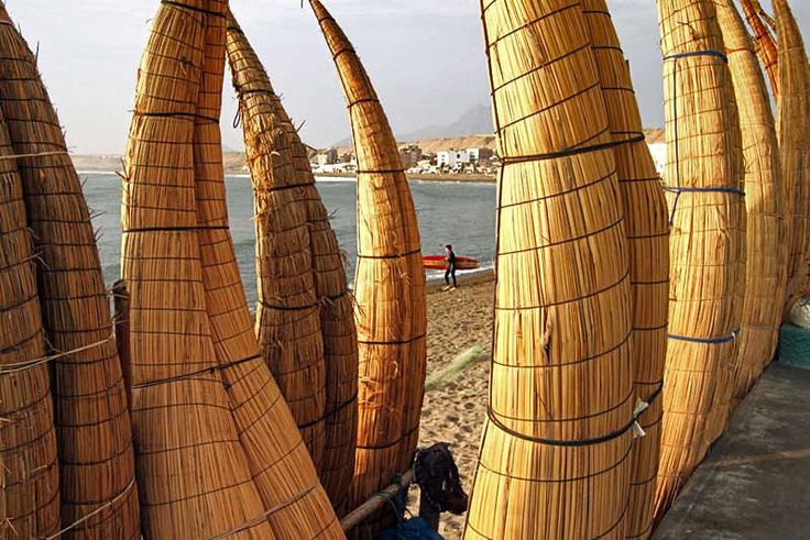 several large bamboo poles are lined up on the beach