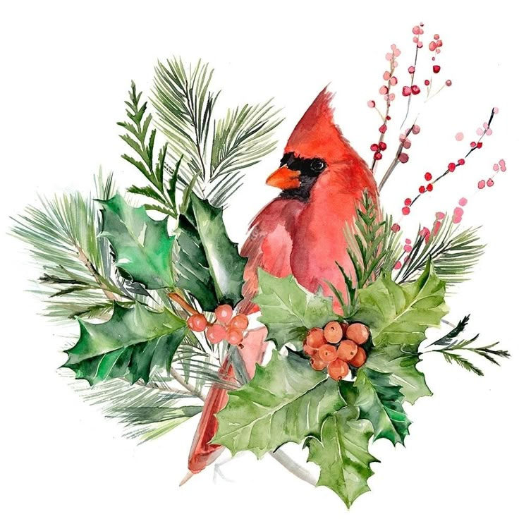 Cardinal Holly Christmas I Poster Print - Jennifer Paxton Parker-VARPDX160801D Image 1 Christmas Cardinal Painting, Cardinal Illustration, Watercolor Cardinal, Cardinal Birds Art, Winter Cardinals, Bird Symbol, Cardinal Art, Bird Cardinal, Red Illustration