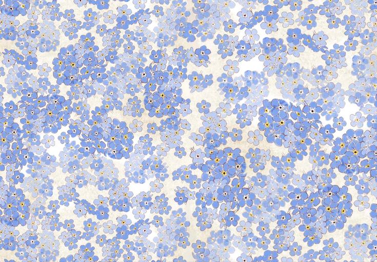 an image of blue flowers on a white background with yellow and brown dots in the center