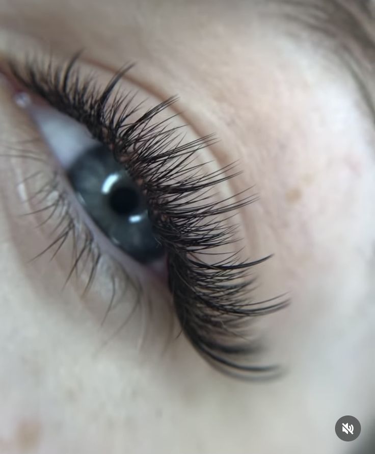 Lash extensions, 2:1, 2D, natural, Kim effect, cat eye, lashes 2d Lashes Eyelash Extensions, Lashes 2:1, Cat With Lashes, 2d Lash Extensions, Lash Cat Eye, Lashes 1:1, Lashes Kim Effect, Lash Extensions 2d, Hybrid Lash Cat Eye