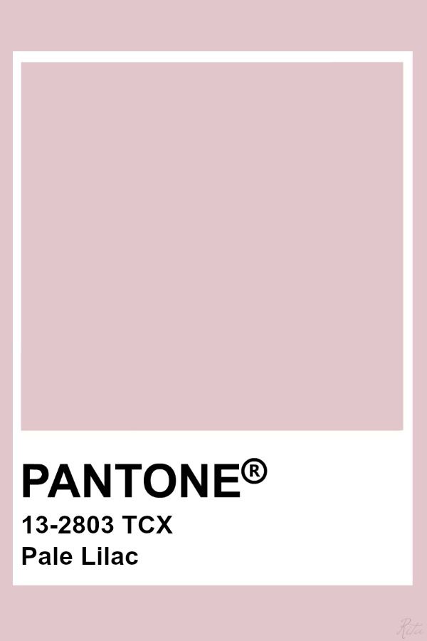 pantone's pale pink hue is featured in this image