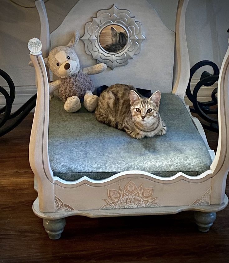 a cat laying on top of a chair with a teddy bear sitting next to it