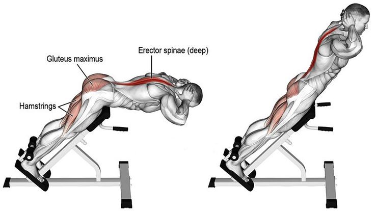 an image of a man doing exercises on the incline bench with muscles highlighted and labeled