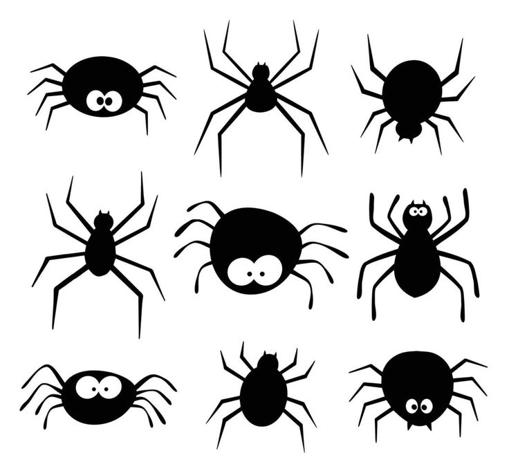 black and white spider silhouettes