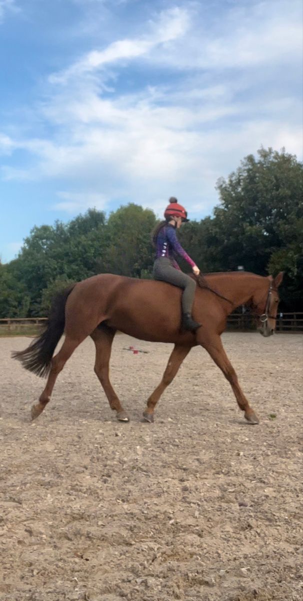 a woman riding on the back of a brown horse