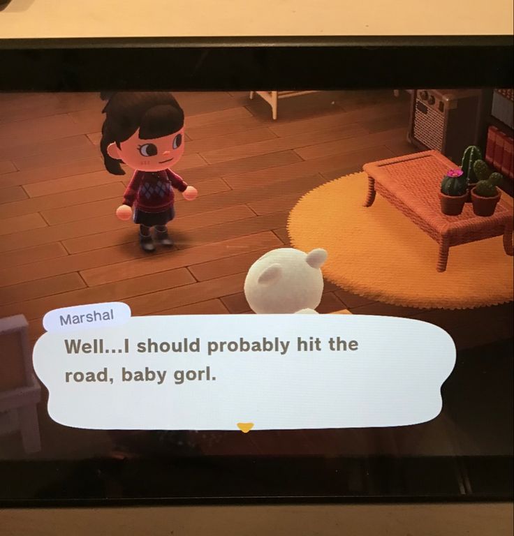 an animal crossing game being played on the nintendo wii, with text reading well i should probably probably hit the road, baby gor