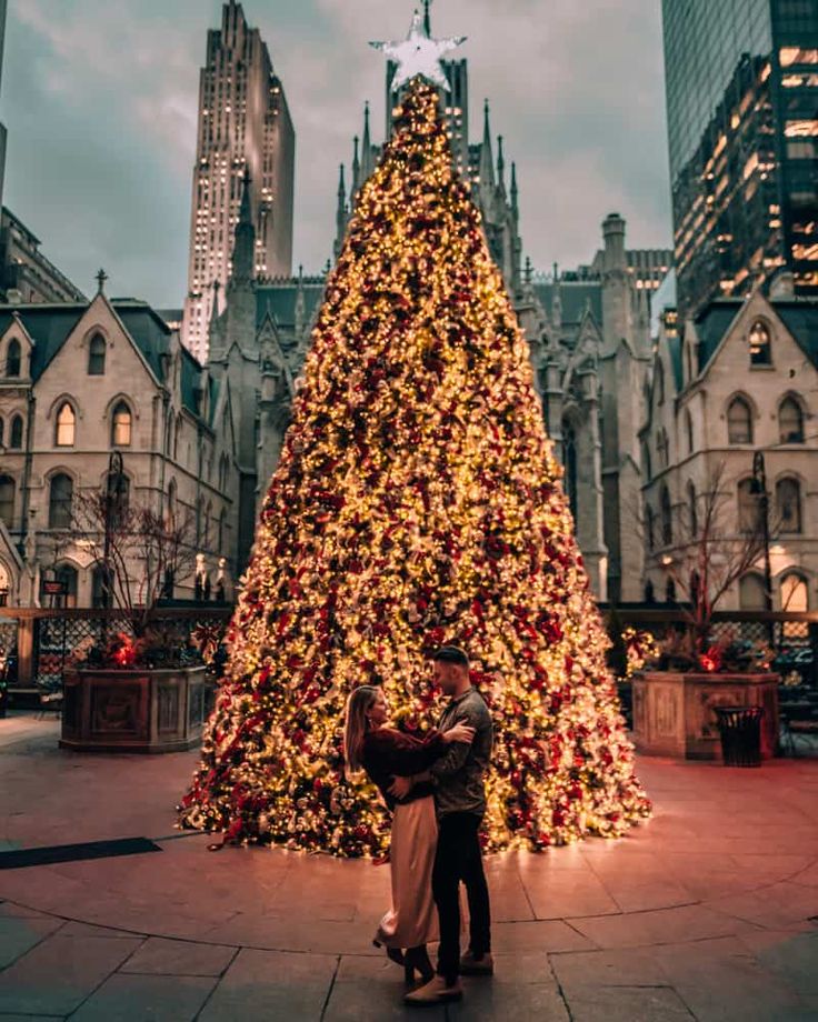 a man and woman standing in front of a large christmas tree with lights on it