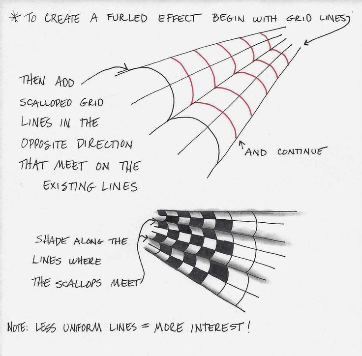 an image of how to draw a spider web