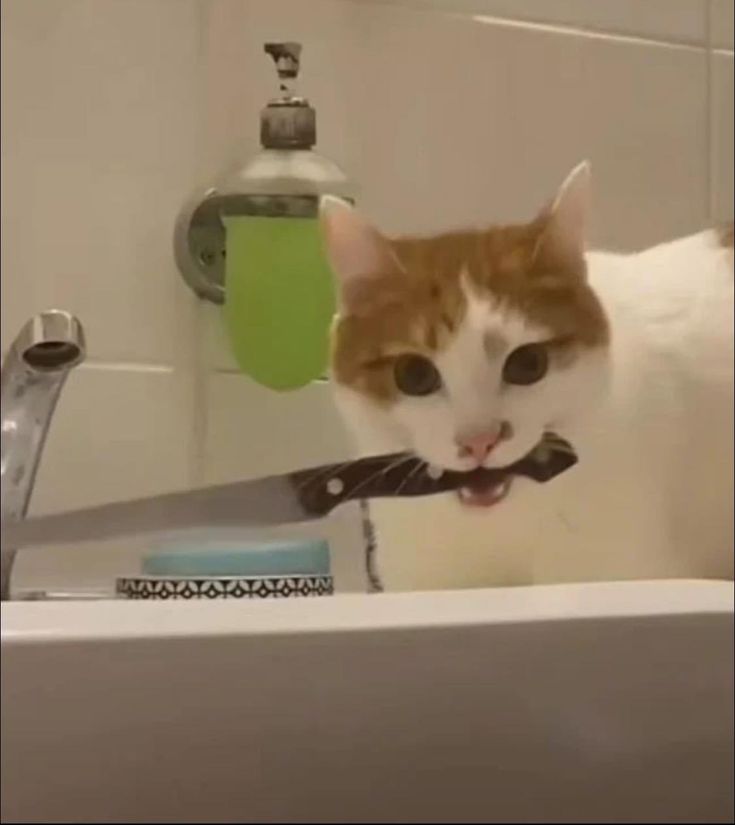 an orange and white cat standing in a bathroom sink with a tie on it's neck