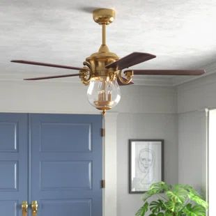 a ceiling fan that is hanging from the ceiling in a room with blue door and potted plant